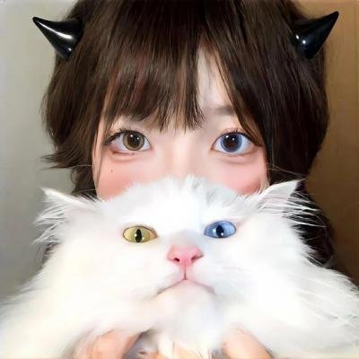 我的姐姐是大帅