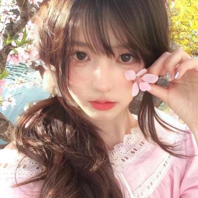 季社长的小蔷薇绽放了